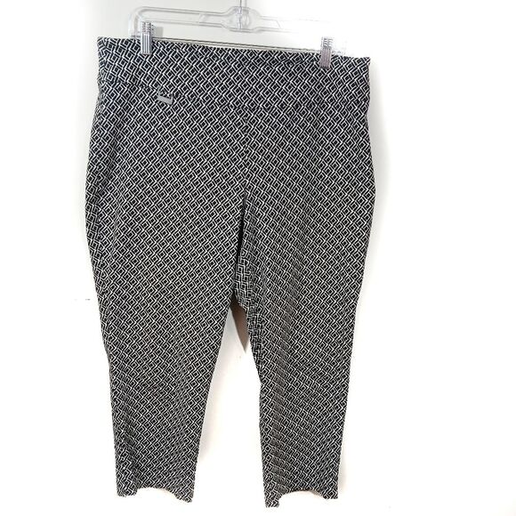 Peck & Peck Cropped Pull On Pants - Picture 1 of 7